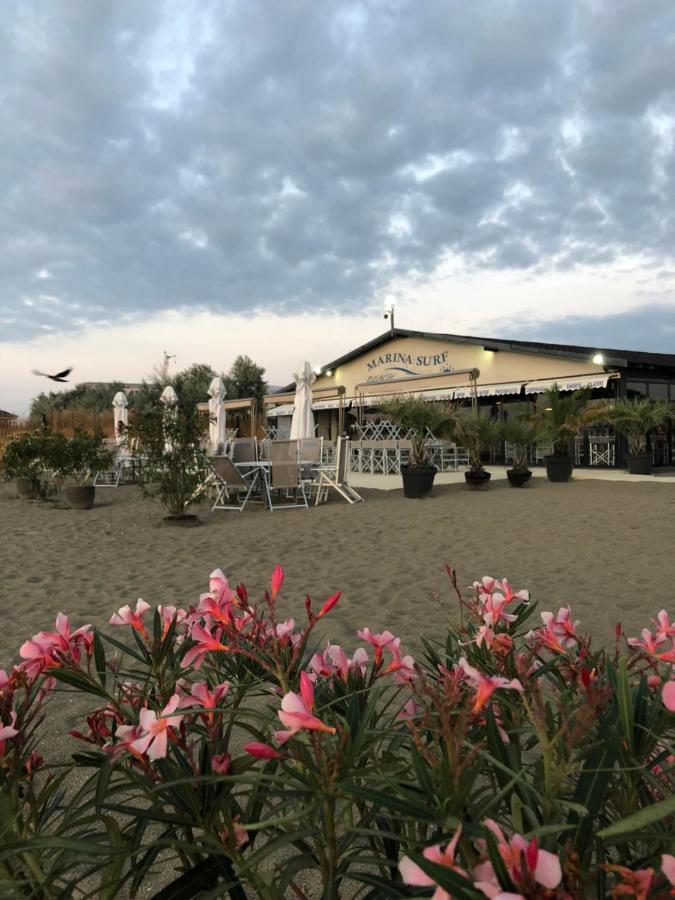 Marina Surf Hotel Năvodari Zewnętrze zdjęcie