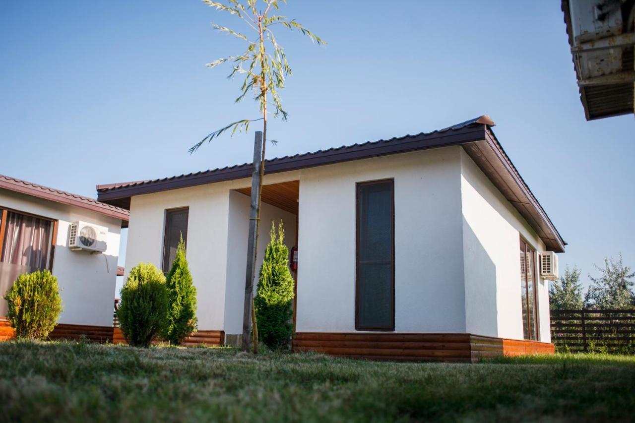 Marina Surf Hotel Năvodari Zewnętrze zdjęcie